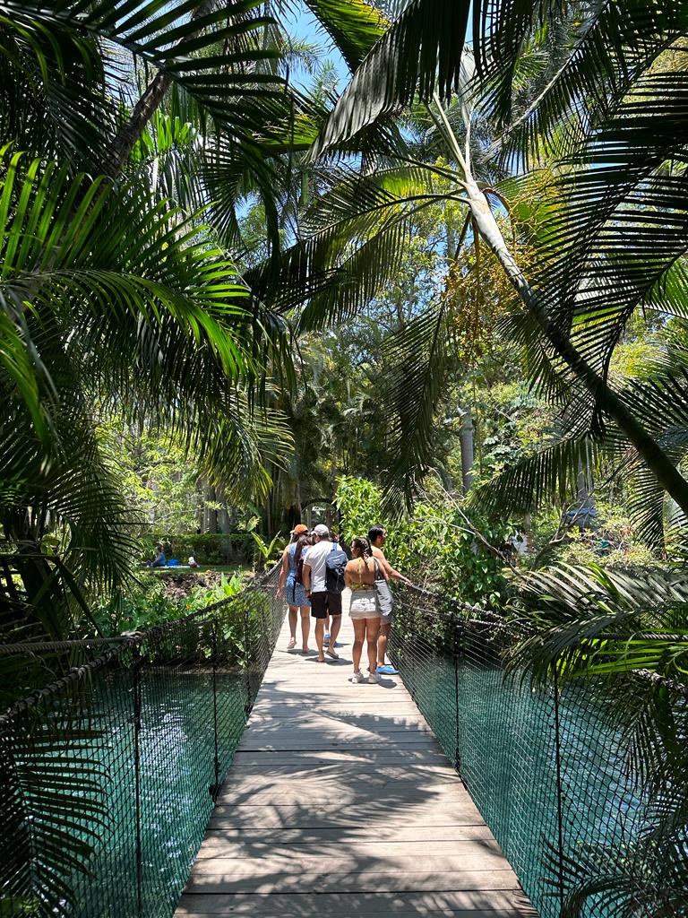 Iguana Abroad students crossing a wooden bridge at Las Estacas Natural Park, Mexico