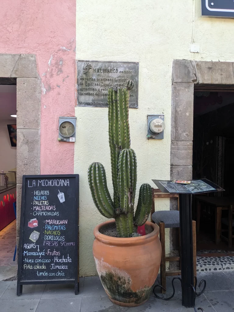 Cactus in front of colonial houses in Malinalco Mexico