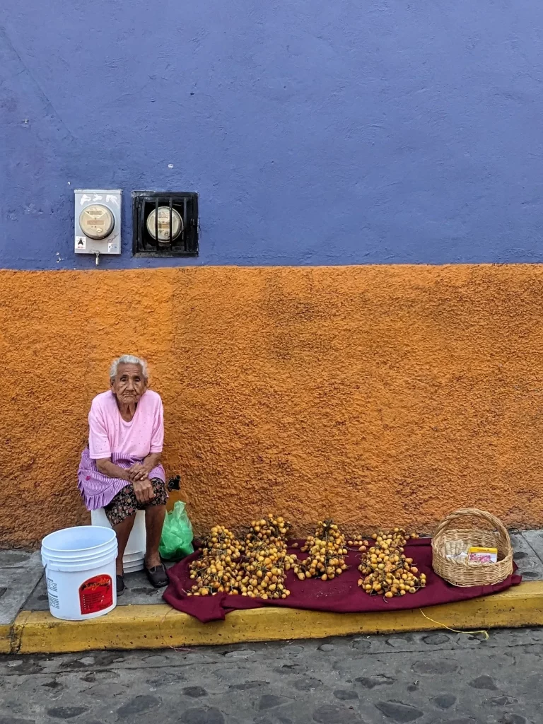 Fruit seller selling nisperos at Malinalco market, Malinalco, Mexico