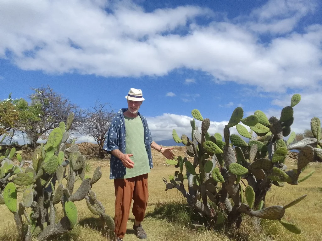 Retiree standing between some cactuses at Xochicalco archeological zone in Mexico