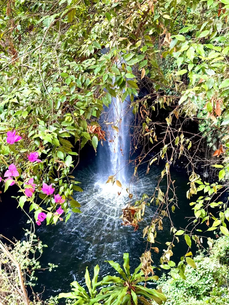 San Anton Waterfall in Cuernavaca Morelos Mexico (Salto de San Anton) surrounded by plants and flowers