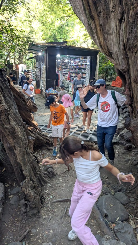 Families at the split tree in Tepoztlan