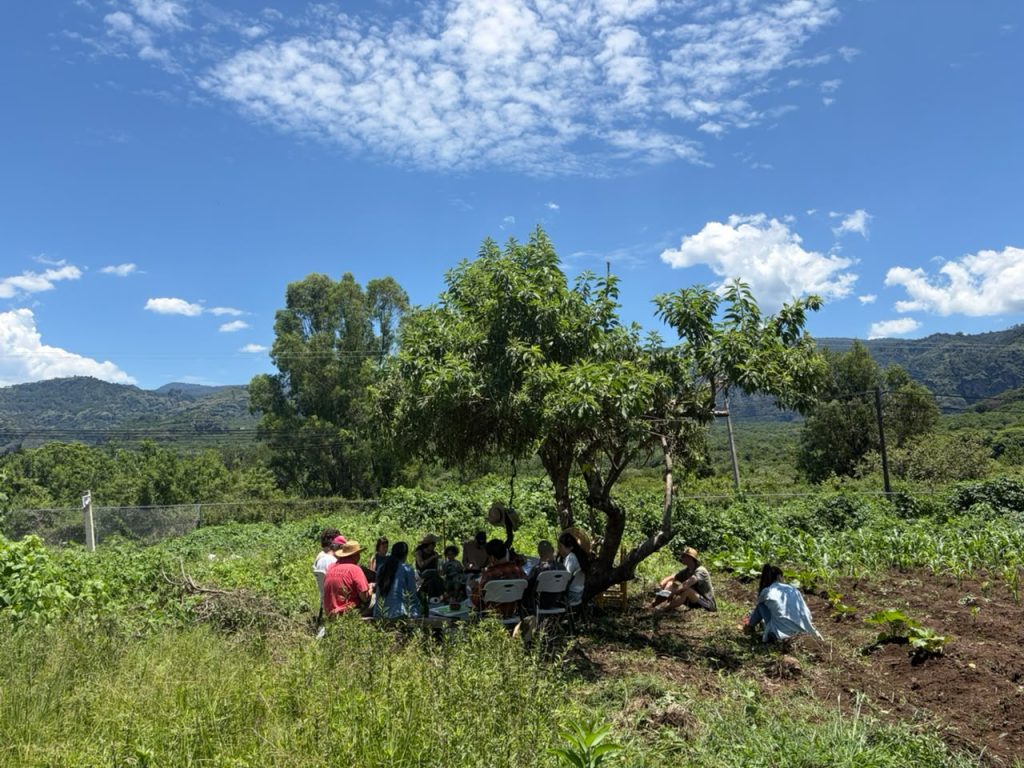 Farmers take shade under a tree in Amatlán Morelos, Mexico