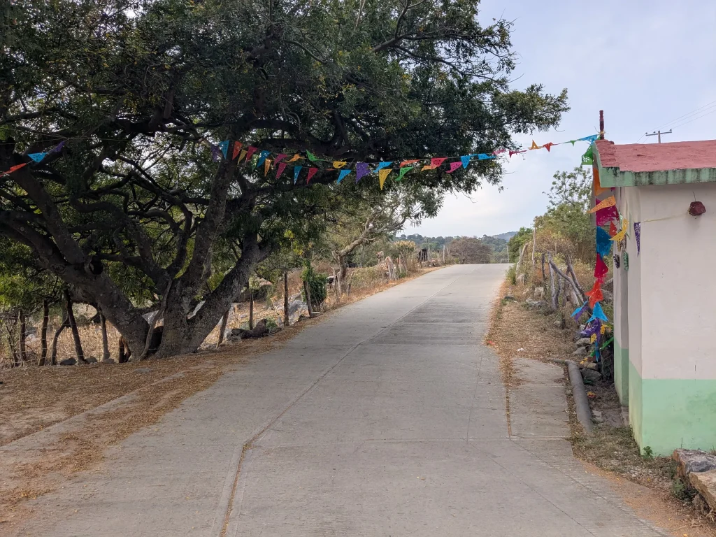 Road leading to Ixcateopan de Cuautemoc
