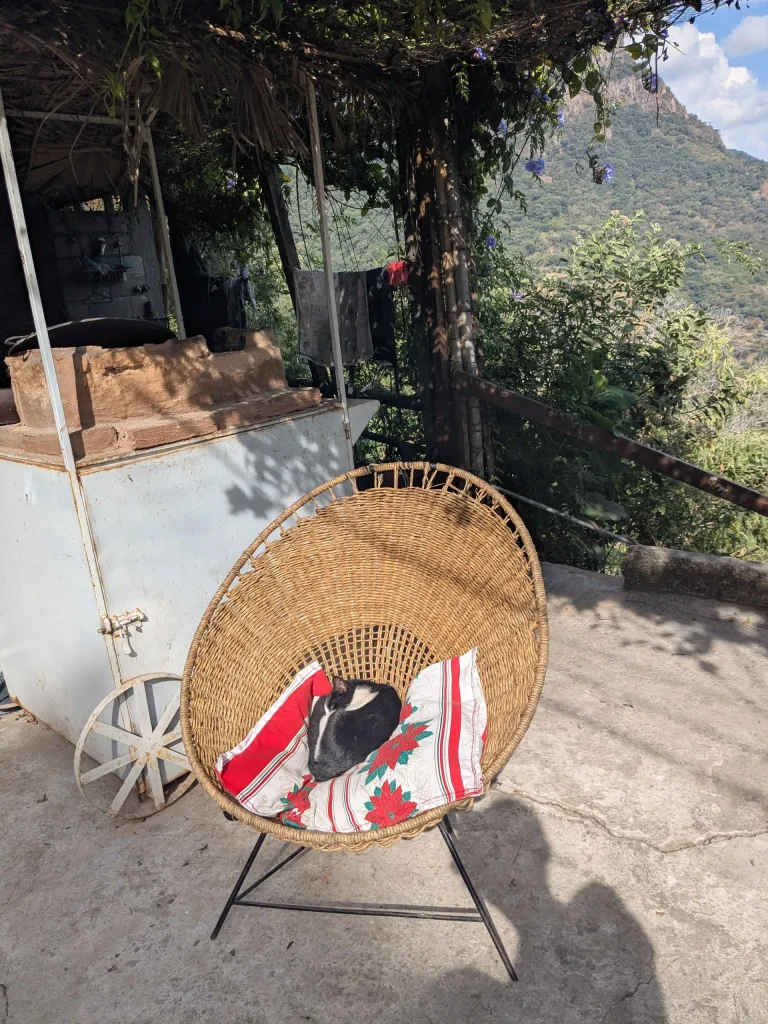 Restaurant near Ixcateopan de Cuautemoc